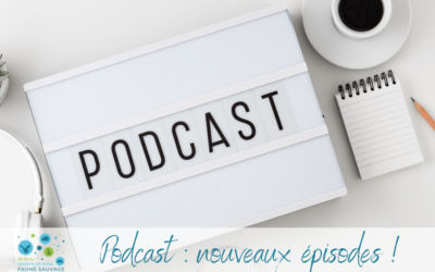 Podcast « Combats »: nouveaux épisodes !