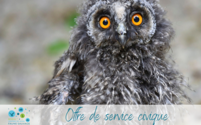 Offre de service civique au CSFL